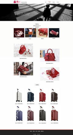 完美出行伴侣 精选箱包产品，开启每一次旅程
